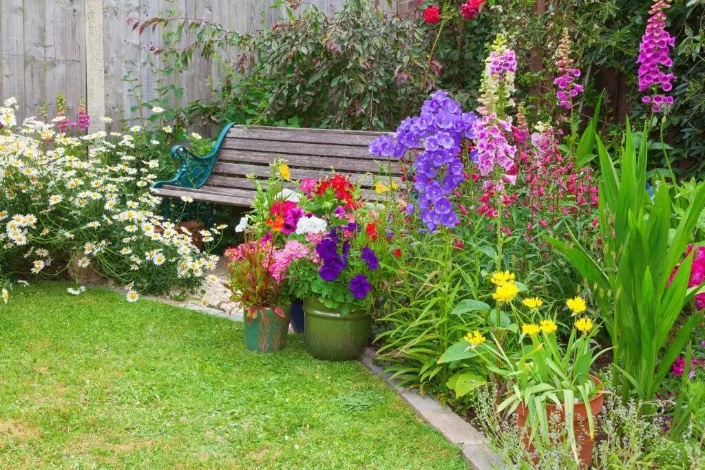 Cut flower garden showing different bloom varieties for cutting