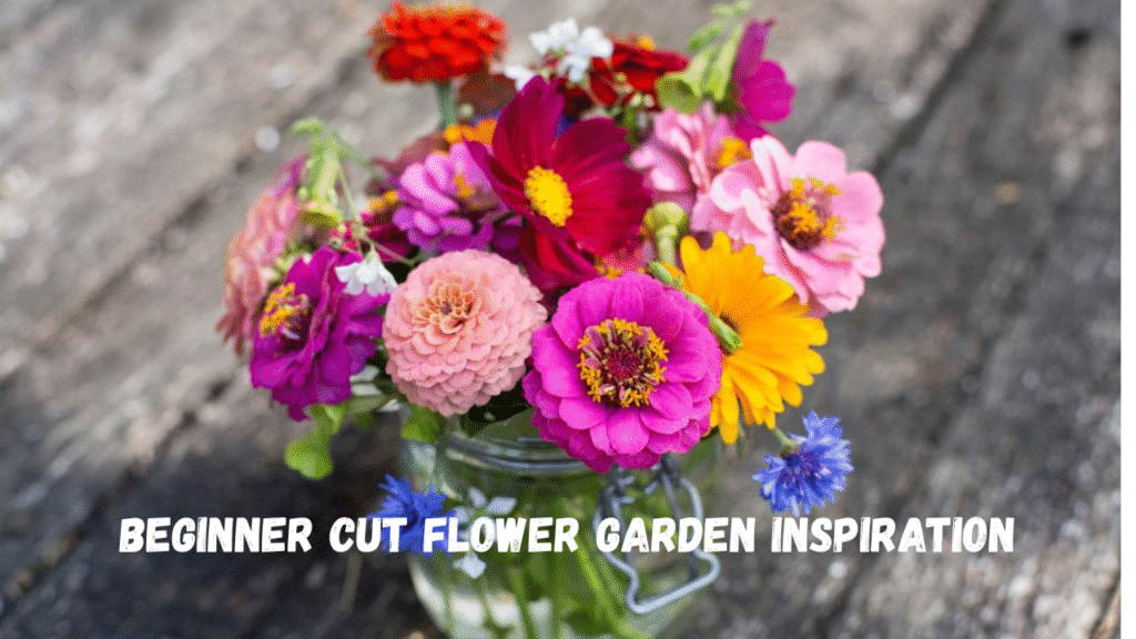 A colorful bouquet of fresh cut flowers arranged in a clear vase – beginner cut flower garden inspiration