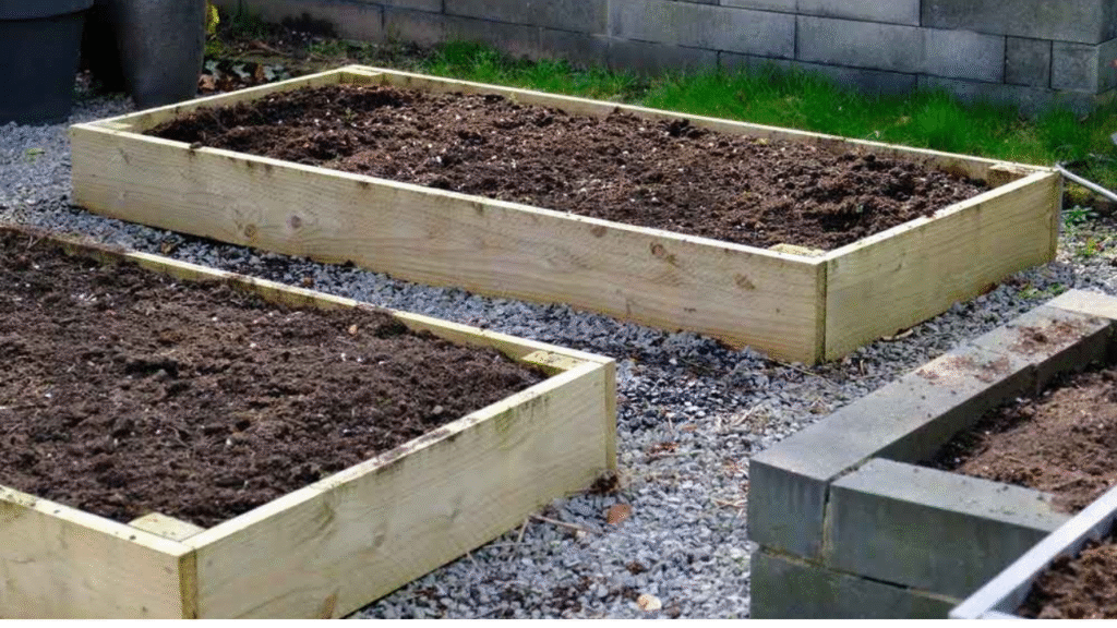 Garden bed with rich compost soil under full sunlight for planting dahlias