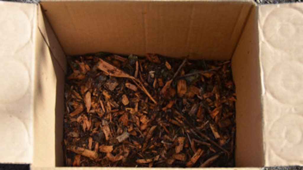 “Dahlia tubers stored in peat moss inside a cool, dark environment for winter.”
