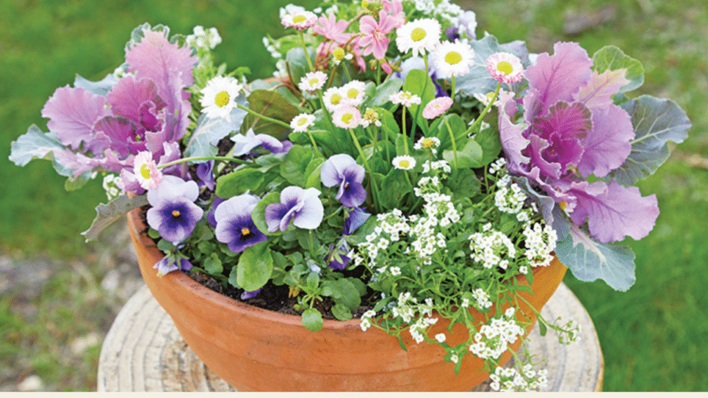 “Seasonal flowers blooming in pots and containers on a sunny patio”