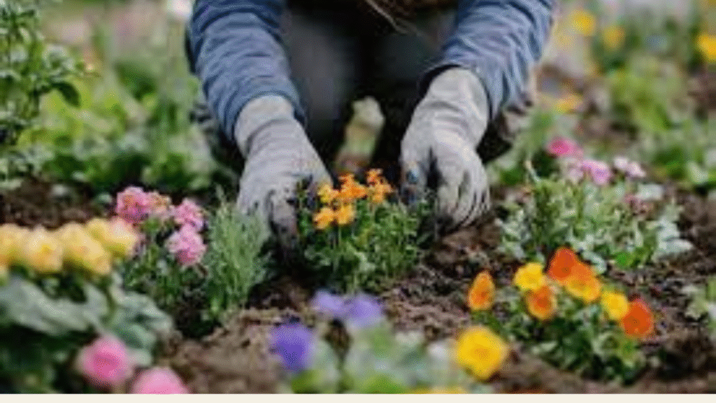 “Woman gardener tending her seasonal flower garden with joy and care”
