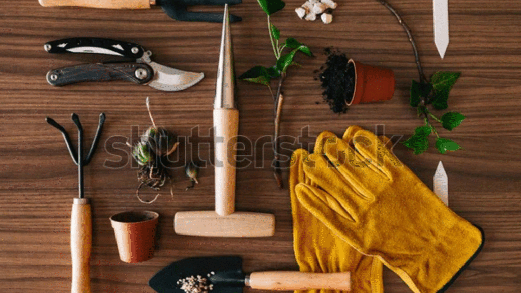 "Beginner gardener tools for starting a cut flower garden including gloves, pruners, and seed packets"