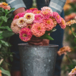 Beginners Guide to Cut Flower Gardening | First Year of Flower Farming