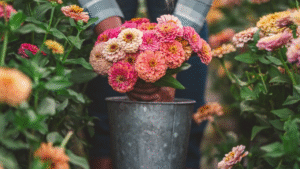 Beginners Guide to Cut Flower Gardening | First Year of Flower Farming