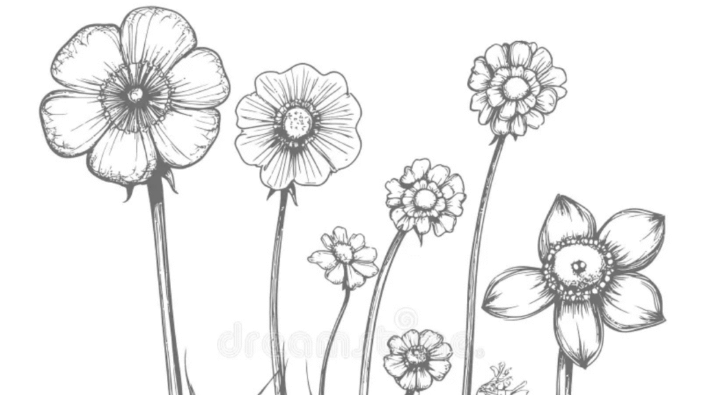 "Sketch plan of a 4x8 raised flower bed with rows marked"