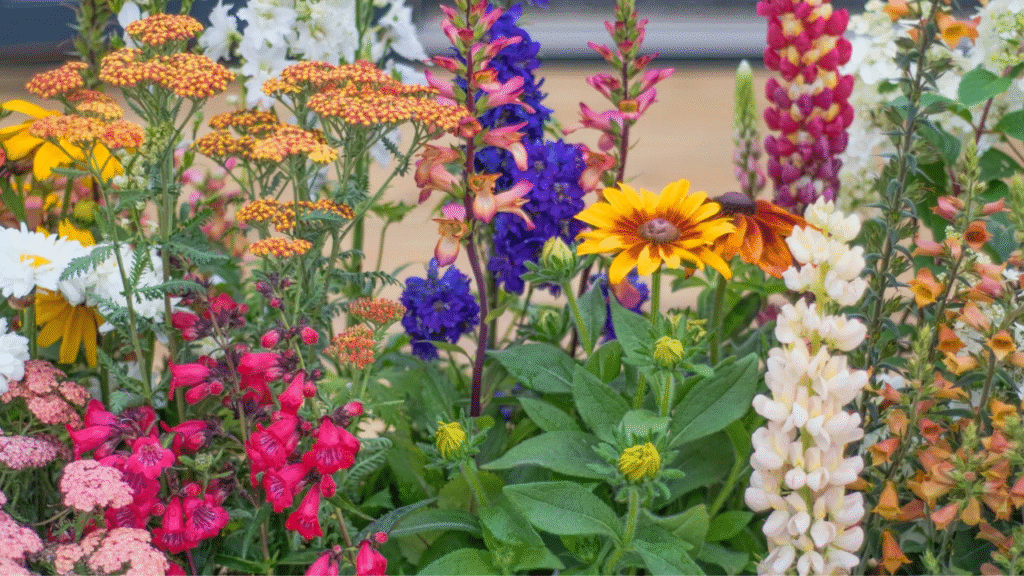 	"Overcrowded flower bed showing poor spacing in cut flower garden"