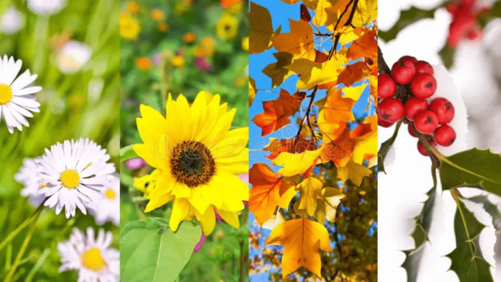 “Seasonal bloom calendar for high-profit flowers across spring, summer, fall, and winter”

