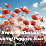 “How to Grow Poppies: 7 Easy Steps for Stunning Blooms in 2025”