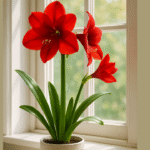 How to Grow Amaryllis: A Complete Indoor & Outdoor Guide for Stunning Blooms in 2025
