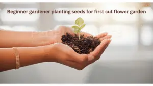 Healthy garden soil with compost, ready for planting flowers