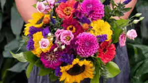 Best Cut Flowers for Small Farms
