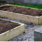 Garden bed with rich compost soil under full sunlight for planting dahlias